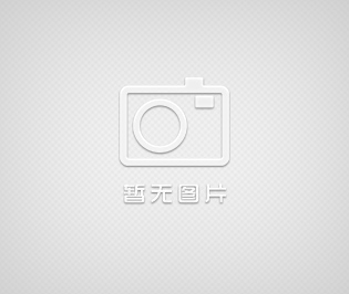 自動化糧食谷物定量包裝機\玉米小麥定量包裝機\煤炭自動打包機 液體多列包裝機